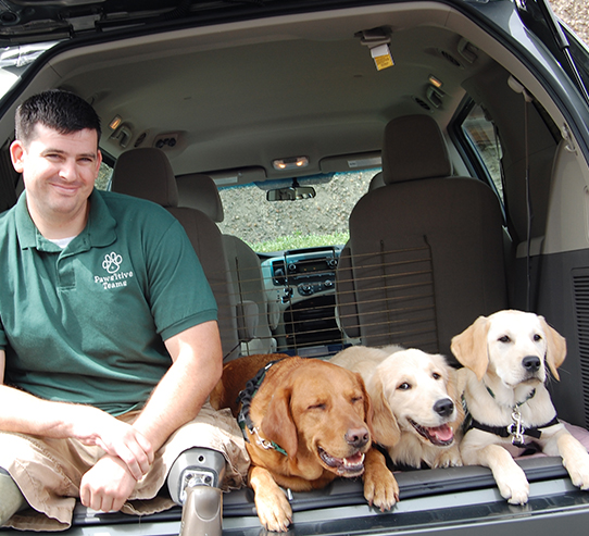 can i volunteer to train service dogs