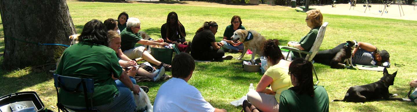 Therapy Dog Programs