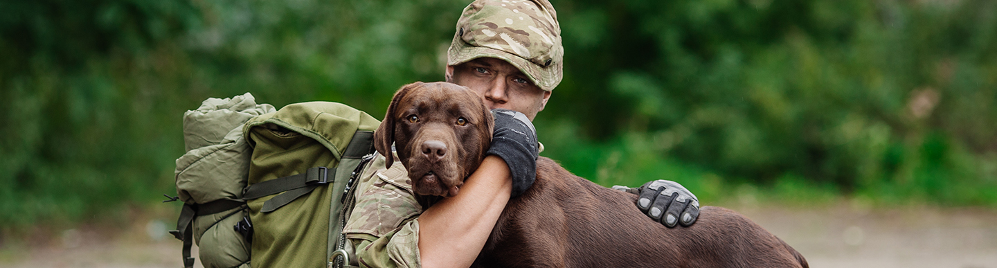 Service Dogs For Veterans - Pawsitive Teams