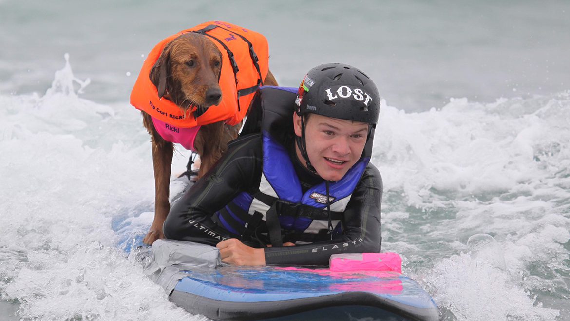 Ricochet the Surf Dog